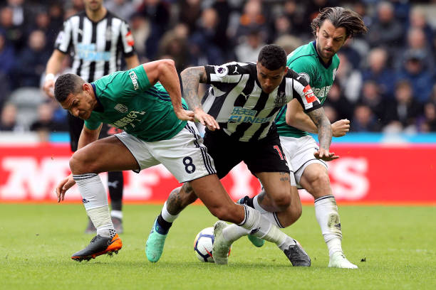 類與動物交 類與動物交