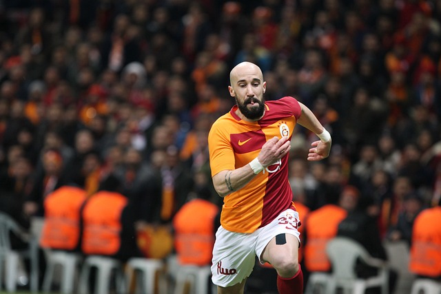 许多成功的 许多成功的