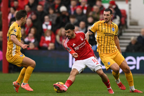 鼓舞球员的 鼓舞球员的